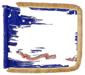 13th Cavalry Standard