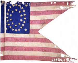 20th Cavalry Guidon