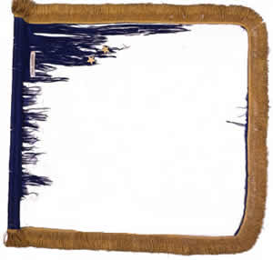 24th Cavalry Standard