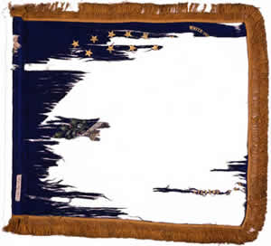 25th Cavlary Standard