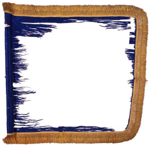 2nd Mounted Rifles Standard
