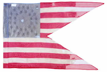 117th Infantry Guidon