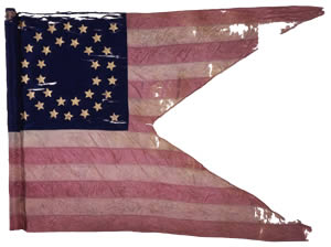 136th Infantry Guidon