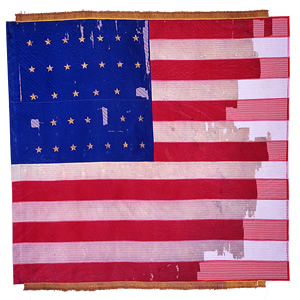 137th New York Volunteer Infantry National Color