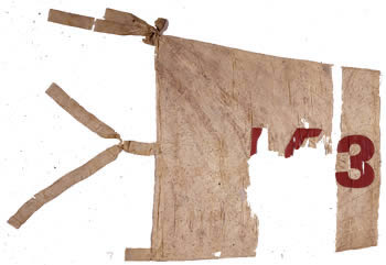 152nd Regiment Flag