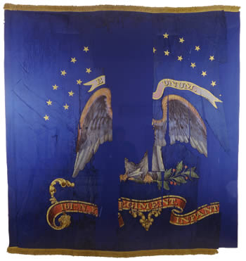 161st Infantry flag