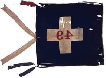 49th Regiment Flag