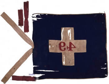 49th Regiment Flag