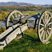 cannon
