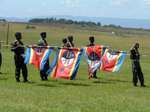 NY SPP - Swaziland Parade