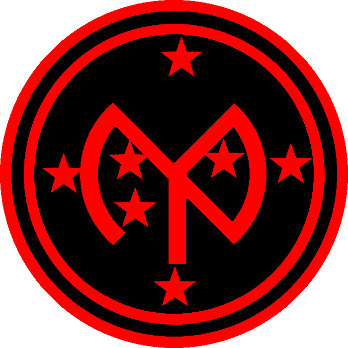 C Co.(-) 2 Battalion 108th Infantry unit insignia