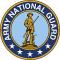 NYS DMNA Blog - NY National Guard Salutes Fleet Week 2010