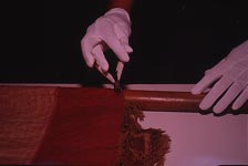staff being inspected