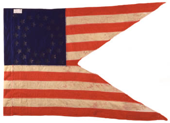 93rd Infantry Flag