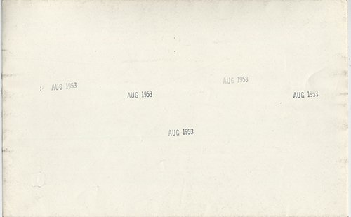 102 Bomb Squadron Back