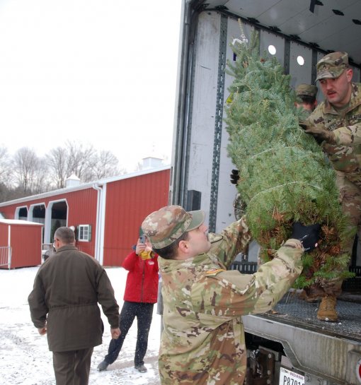 Trees going to Troops 