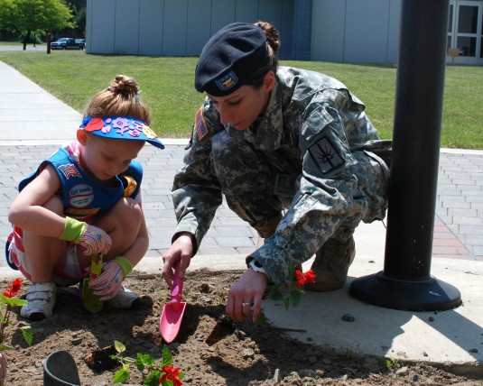 Daisies Plant Flowers for Fallen Soldiers