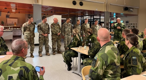 NY Guardsmen mentor Swedish division staff 