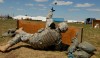 Grenade On The Way