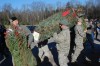 New Yorkers Load Trees for Troops