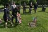 NY Guard WW II Hero Honored 