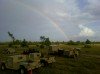 A Rainbow in the Army like a Rainbow in the Sky