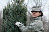 Airmen Load Trees for Troops