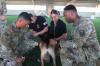 NY Army Guard medics learn to treat military dogs 