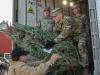 Soldiers volunteer for Trees for Troops 