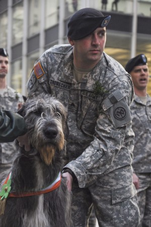 Of Pride, Parades and Pooches: Dogs of Fighting 69th a Fixture at NY St. Patrick’s Day Parade