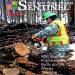 New York State Guard Sentinel - Spring 2015 Edition