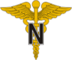 Army Nurse Corps logo