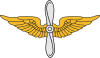 Aviation logo