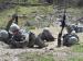 New York Army National Guard Soldiers from the Auburn, N.Y.-based 102nd Military Police Battalion react to direct fire and prepare to assault the enemy during a pre-mobilization training fight lane exercise Sunday, May 11 at Fort Drum. (U.S. Army Photo by Sgt. Jonathan Monfiletto, 138th Public Affairs Detachment)